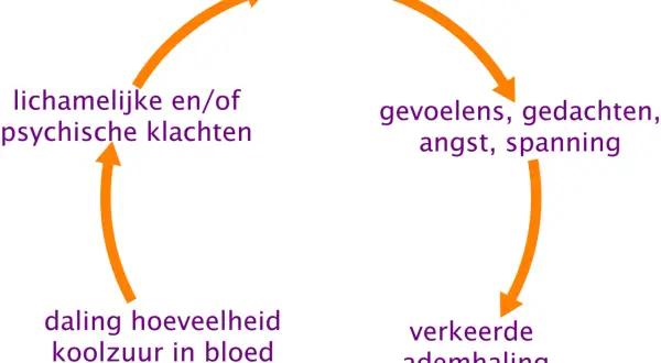 Diagram van hyperventilatie: gevoelens, gedachten, angst, spanning leiden tot verkeerde ademhaling, daling koolzuur, en klachten. Een hyperventilatie zakje blazen kan helpen.