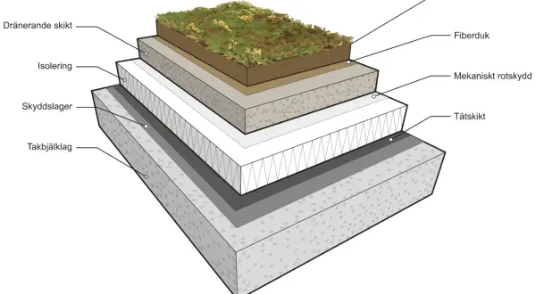 Detaljerad illustration av en sedumtak konstruktion med lager som växtbädd, fiberduk, isolering och tätskikt.