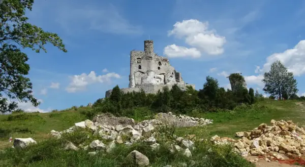 Ruiny zamku Mirów na wzgórzu, otoczone zielenią i kamieniami.