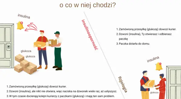 Insulinooporność: kurier z glukozą dzwoni, ale insulina nie otwiera. Problem z dostarczeniem glukozy.