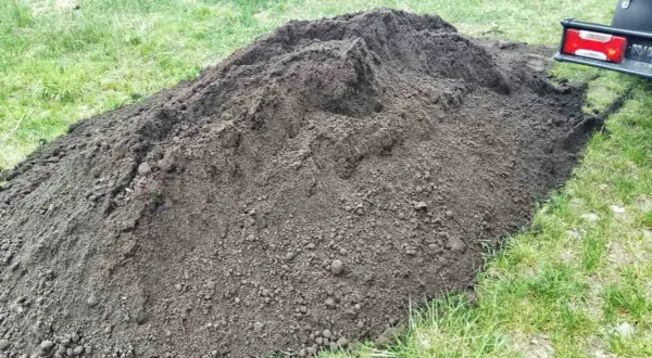 Gdzie kupić ziemię ogrodową? Sprawdź najlepsze miejsca i oferty