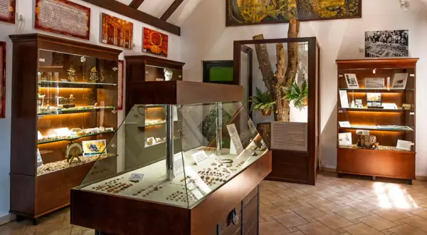 Wnętrze muzeum bursztynu z gablotami pełnymi skarbów i obrazem lasu na ścianie.