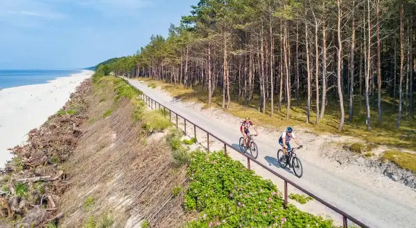 Dwóch rowerzystów przemierza malownicze trasy rowerowe Gdańsk wzdłuż sosnowego lasu i piaszczystej plaży.