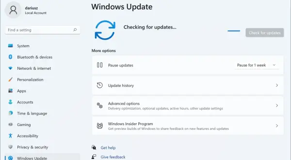 Ekran Ustawień Windows, sekcja Windows Update. Sprawdzanie aktualizacji, opcja wstrzymania na 25h2 tygodnie.