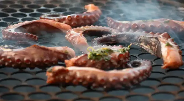 Tentáculos de pulpo a la brasa humeantes sobre una parrilla. El pulpo se cocina lentamente, adquiriendo un color dorado y un aroma irresistible.