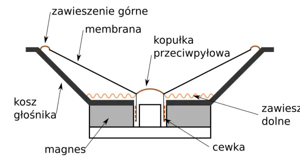 Schemat budowy kolumny głośnikowej: membrana, zawieszenie górne i dolne, kopułka przeciwpyłowa, kosz, magnes i cewka.