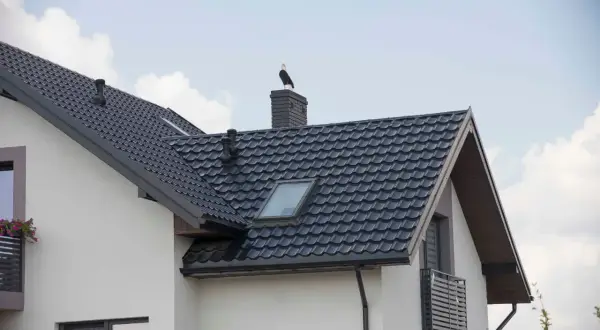 Ptak siedzi na kominie, który znajduje się w miejscu przecięcia dwóch połaci dachowych. Dach pokryty jest ciemną dachówką.
