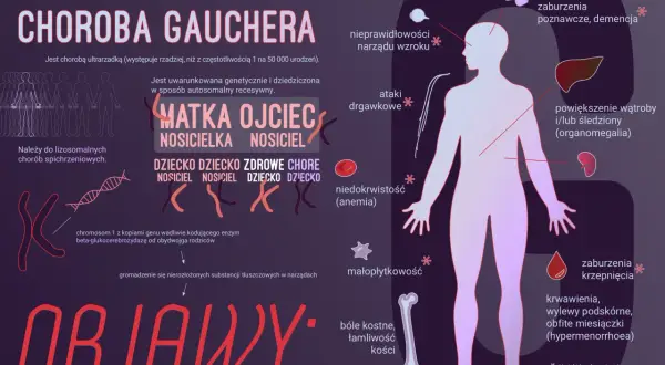 Choroba Gauchera: objawy obejmują bóle kostne, powiększenie wątroby i śledziony, niedokrwistość, zaburzenia krzepnięcia, osłabienie i problemy neurologiczne.