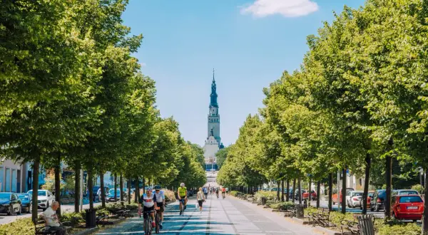 Aleja drzew prowadzi do Jasnej Góry. Na ścieżce rowerzyści i spacerowicze. Rynek Częstochowa tętni życiem.