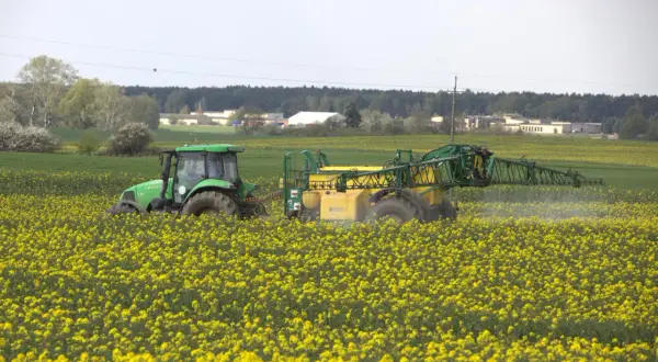 Zielony traktor z opryskiwaczem w polu rzepaku. Maszyna wykonuje zabieg mający na celu biologiczna ochrona upraw przed szkodnikami.