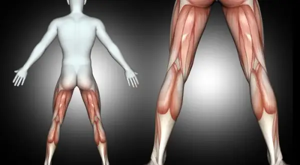 Correr: qué músculos activas y cómo fortalecerlos para rendir