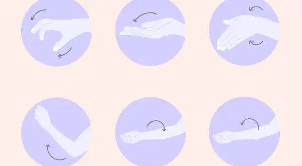 Illustration zeigt Übungen für Hände und Arme. Ein Handtrainer wie oft? Diese Grafiken zeigen, wie man die Gelenke bewegt.