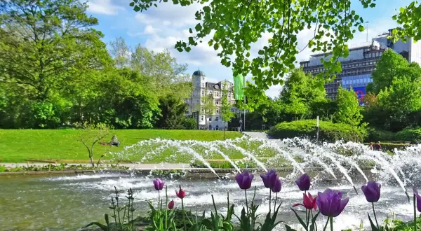 Wasserspiele Hamburg: Tulpen blühen am Teich, während Fontänen im Park sprühen. Ein entspannter Tag im Grünen.