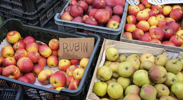Jabłka Rubin i inne odmiany, idealne na szarlotkę, w skrzynkach na targu.