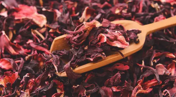 Suszone płatki hibiskusa na drewnianej łyżce. To właśnie co to jest hibiskus - piękna, czerwona roślina.