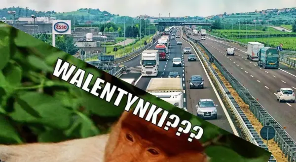 Korek na autostradzie, a na pierwszym planie nosacz z tekstem "WALENTYNKI???". Memy i kartki na Walentynki bywają różne.