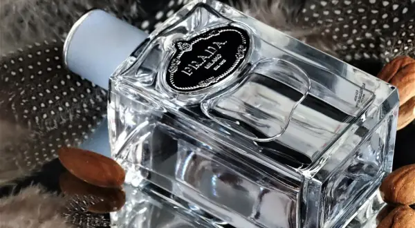 Elegancka butelka Prada Infusion d'Amande otoczona piórami i migdałami, tworząc subtelną kompozycję.