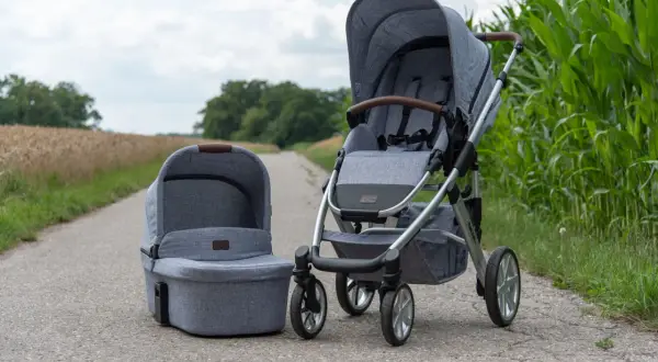 Grauer Kinderwagen mit passender Babywanne, Modell abc Salsa 4, steht auf einem Feldweg neben Maisfeld.