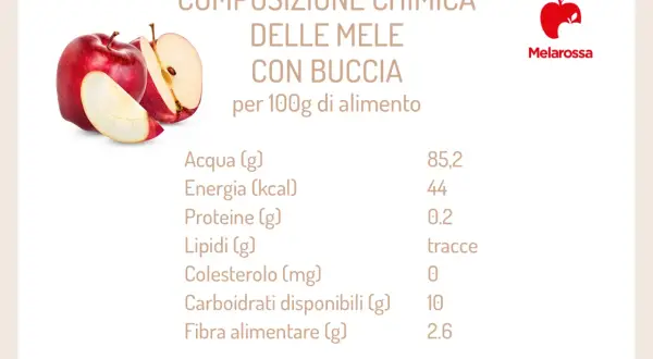 Una mela rossa, con buccia, apporta 44 kcal per 100g. Dettagli nutrizionali di questo frutto.