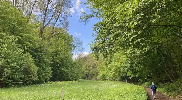 Ein Wanderer auf dem Liewerfrauenweg in Solingen genießt die üppige grüne Natur und den blauen Himmel.