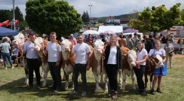 Menschen präsentieren stolz ihre Rinder auf dem Pferdemarkt Beerfelden.