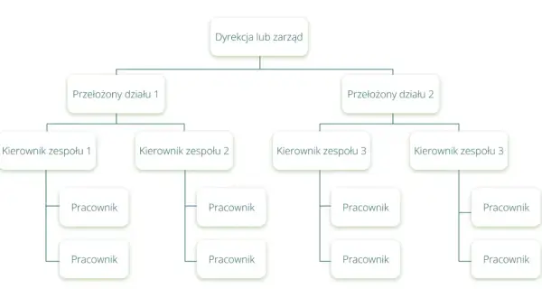 Schemat przedstawia strukturę organizacyjną firmy: Dyrekcja, Przełożeni działów, Kierownicy zespołów i Pracownicy.