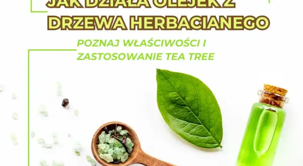 Olejek z drzewa herbacianego: Szkodliwość i bezpieczne stosowanie. Poznaj zasady.