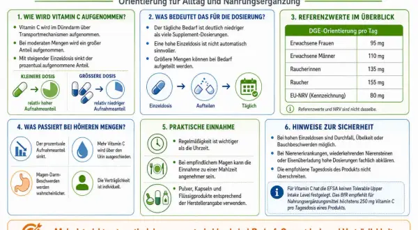 Infografik zu Vitamin C: Aufnahme, Dosierung, Referenzwerte (z.B. 95 mg für Frauen), praktische Einnahme und Sicherheitshinweise. Mehr ist nicht automatisch besser – entscheidend sind Bedarf, Gesamtdosis und Verträglichkeit.