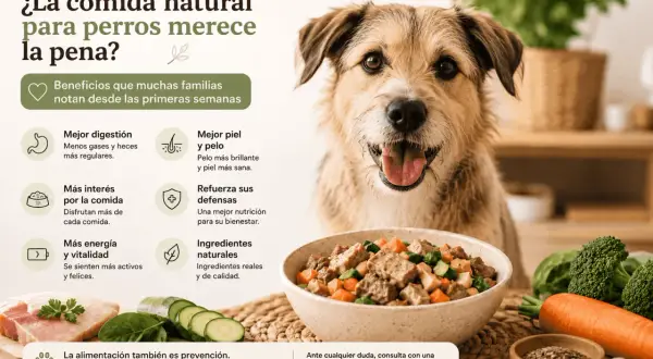 Perro feliz junto a un bol de comida natural. Beneficios: mejor digestión, piel, energía y defensas. Opiniones sobre comida natural para perros.
