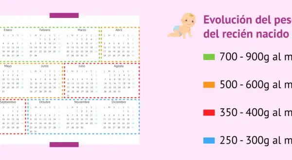 Un bebé de 2 meses puede pesar entre 250 y 900 gramos al mes, según la evolución.