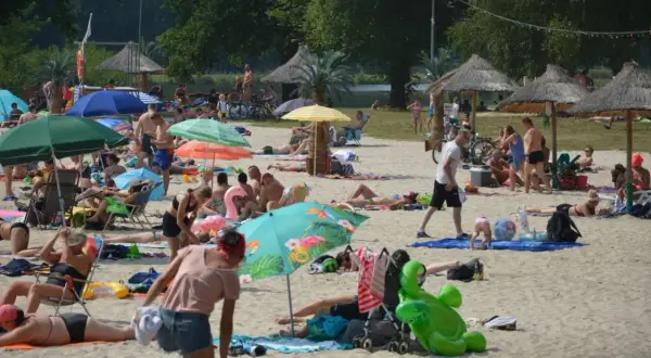 Słoneczna plaża nad zalewem w Małomicach tętni życiem. Ludzie odpoczywają pod parasolami, opalają się i relaksują na piasku.