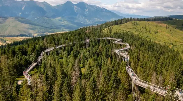 Ścieżka w koronach drzew na Słowacji, blisko granicy z Polską, oferuje wspaniałe widoki na Tatry.