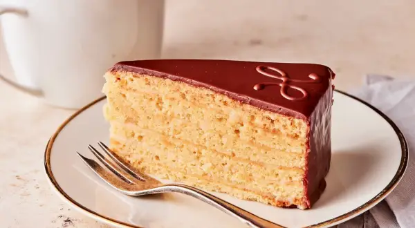 Ein Stück Schokoladenkuchen mit vielen Schichten, perfekt für ein Herrentorte Rezept. Dazu eine Tasse Kaffee.