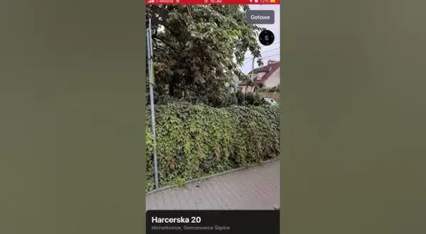 Gdzie mieszka Palion? Odkryj tajemnice życia w Siemianowicach