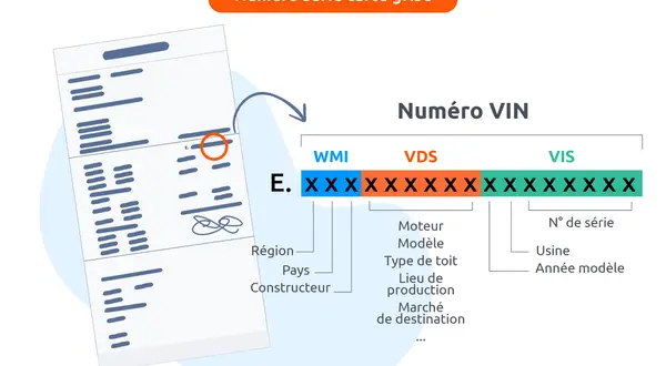 Explication du numéro VIN, le numéro de série de votre voiture, avec ses différentes sections (WMI, VDS, VIS) et les informations qu'elles contiennent.