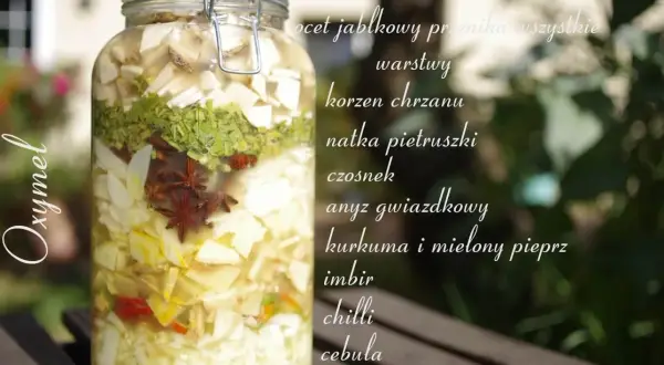 Słoik z warstwami składników do oxymelu: jabłko, chrzan, natka, czosnek, anyż, kurkuma, imbir, chilli, cebula.