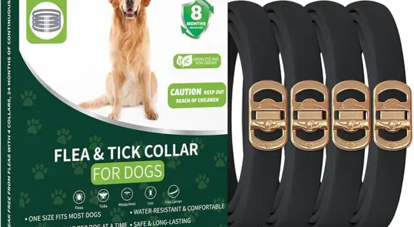 Los mejores collares para garrapatas en perros: protección efectiva y segura