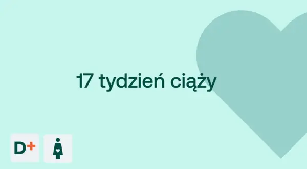 17 tydzień ciąży to już połowa czwartego miesiąca. Na jasnym tle serce i ikony D+ oraz kobiety w ciąży.