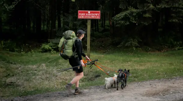 Czy można przejść szlak z psem? Przepisy parków narodowych 2026. Turystka z plecakiem i dwoma psami na smyczy w Parku Narodowym Gór Stołowych.