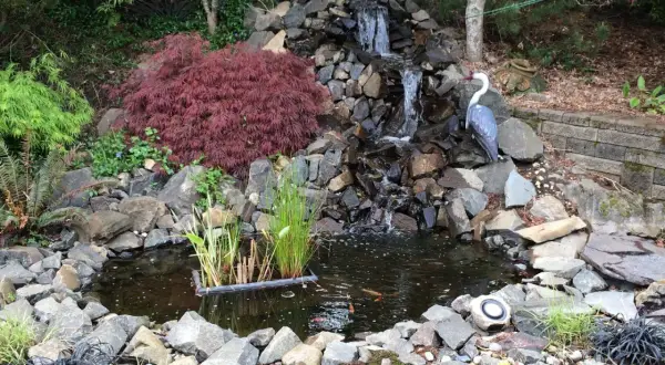A serene homemade pond waterfall cascades over rocks into a dark pool. A decorative heron statue watches over the koi swimming below.