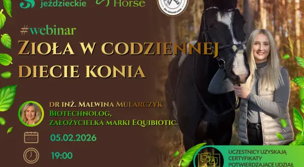 PZJ instruktor jeździectwa: Kompletny przewodnik po kursie