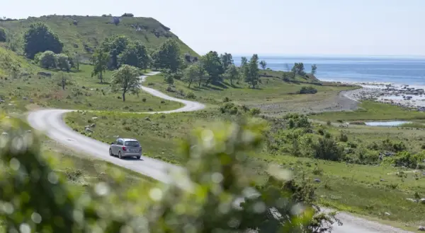 En bil kör på en slingrande väg längs Gotlands kust. Perfekta gotlandstips för en bilsemester.