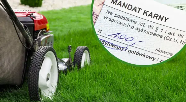 Kosiarka na zielonym trawniku i mandat karny na 190 zł. Czy można kosic trawe w niedziele? To pytanie może kosztować.