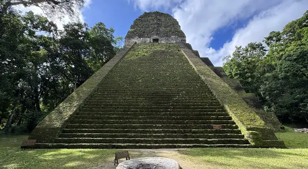 Pirámide maya cubierta de musgo en Tikal, Guatemala. El sol ilumina las escalinatas, rodeadas de exuberante vegetación, como si fueran flores silvestres de Guatemala.