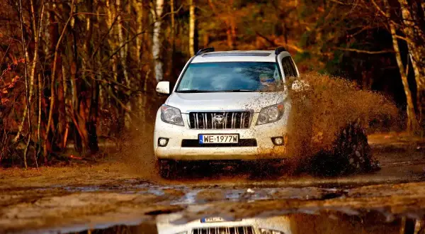 Biały Land Cruiser 100 szaleje po błotnistej drodze w lesie, wzbijając fontanny brudu.