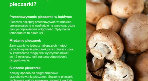 Świeże pieczarki i wskazówki, jak przechowywać pieczarki w lodówce, mrozić lub suszyć, by zachować ich smak i wartości.