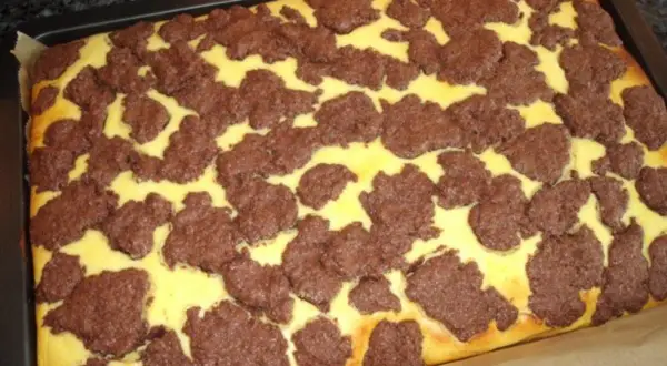 Ein frisch gebackener russischer Zupfkuchen im Blech, mit einem gelben Teig und dunklen Schokoladenstückchen darauf.