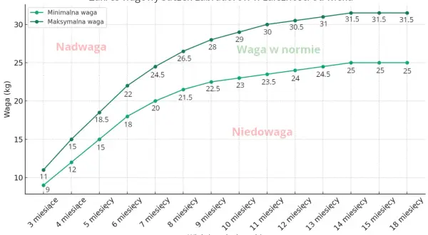 Labrador 3 miesiące waga: minimalna 9 kg, maksymalna 11 kg. Wykres pokazuje zakres wagowy suczek Labradorów.