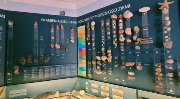 Co znajduje się w muzeum historycznym? Odkryj fascynujące eksponaty