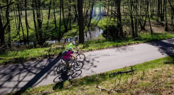 Dwie osoby na rowerach przemierzają malownicze bory tucholskie. Trasy rowerowe wiodą przez las, wzdłuż strumienia.
